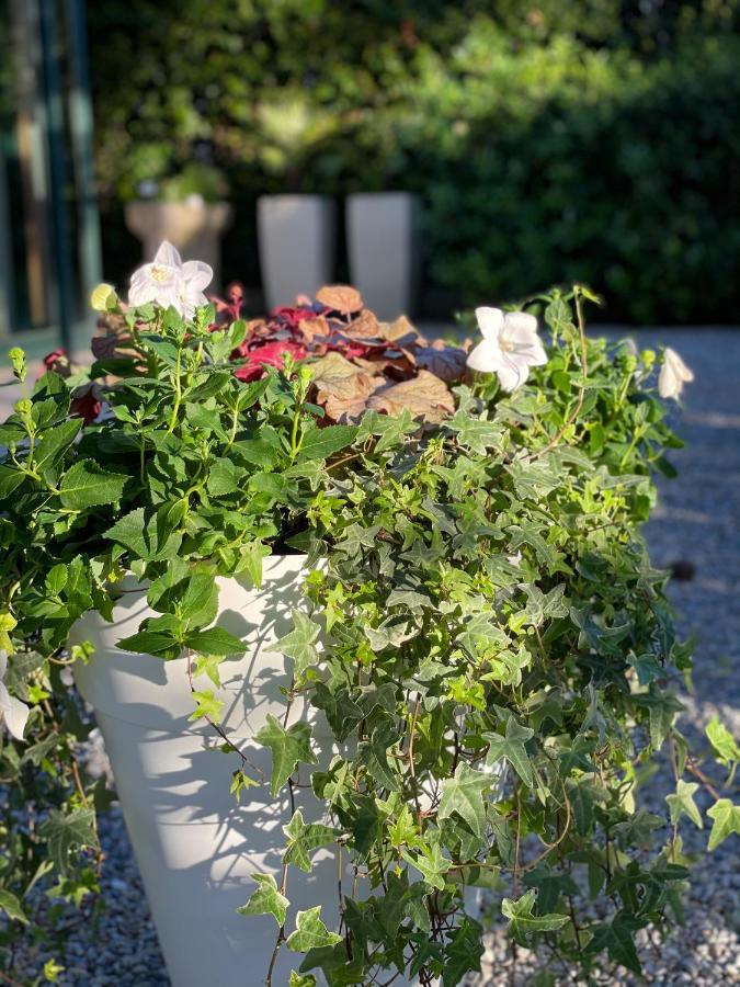 Hotel B&B Des Bains Milano Marittima Dış mekan fotoğraf