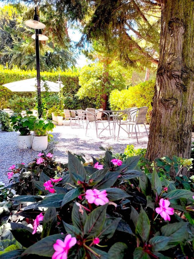 Hotel B&B Des Bains Milano Marittima Dış mekan fotoğraf